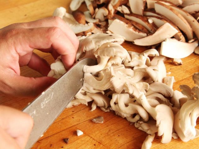 How long to cook oyster mushrooms until tender