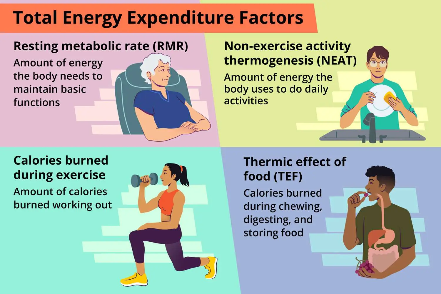 How many calories do you burn during training? These factors affect your score