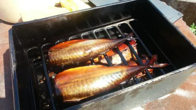 How many calories in hot smoked mackerel