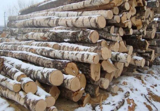 How many cubes of firewood do you need for the winter