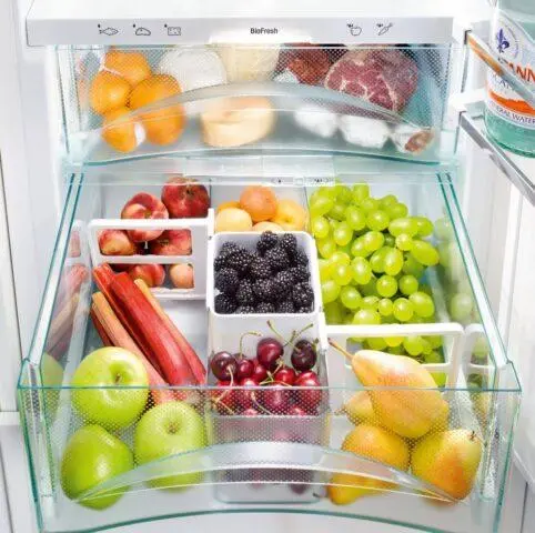 How many days cabbage is stored in the refrigerator: fresh, cut, chopped
