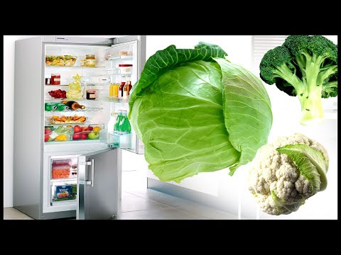 How many days cabbage is stored in the refrigerator: fresh, cut, chopped