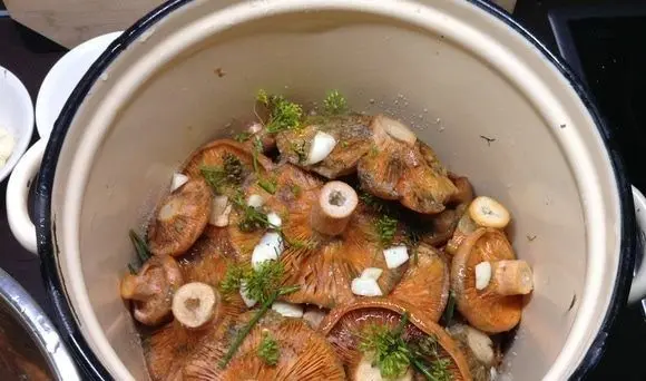 How many days to salt mushrooms under pressure: recipes for salted mushrooms