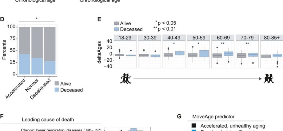 How Many Healthy Years Do You Have Left? Check With The Biological Age ...