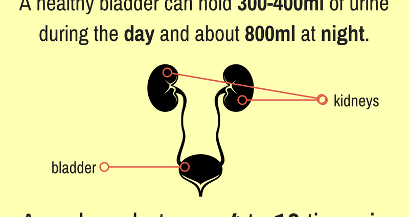 How many times a day should you pee? See what should worry you