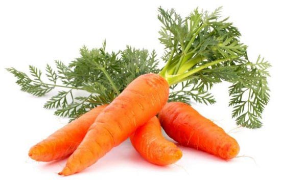 How many times in a lifetime does a carrot bear fruit: a gardeners answer