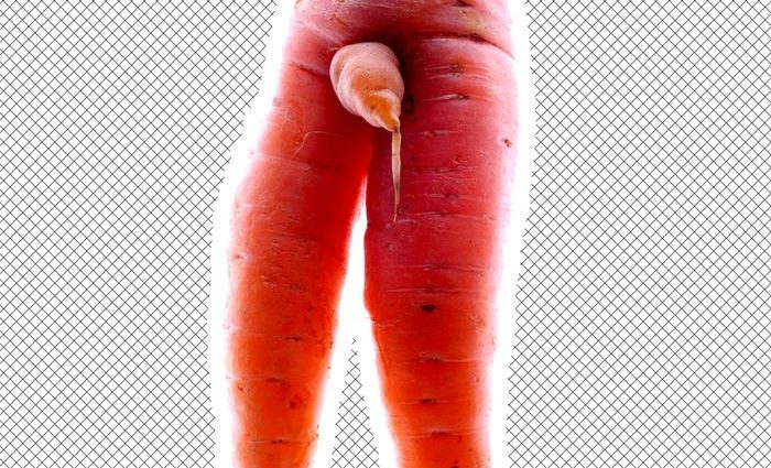 How many times in a lifetime does a carrot bear fruit: a gardener&#8217;s answer