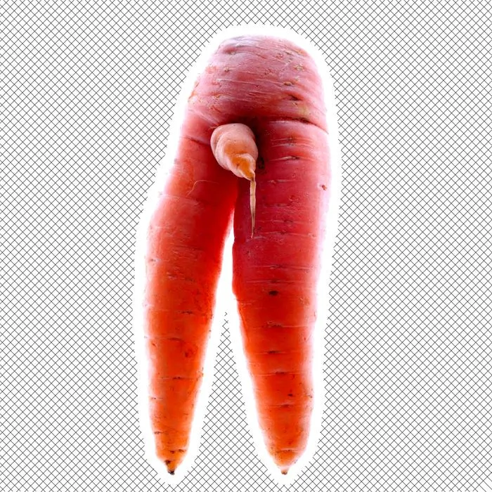 How many times in a lifetime does a carrot bear fruit: a gardener&#8217;s answer