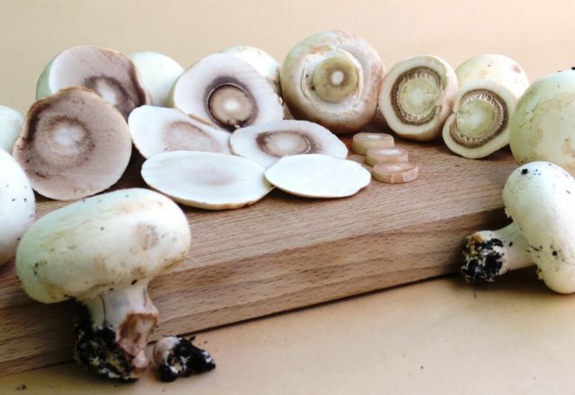 How much and how to cook fresh champignons: until cooked, before frying, baking, for salad, in a slow cooker