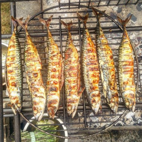 How much and how to smoke hot smoked mackerel at home: photo + video