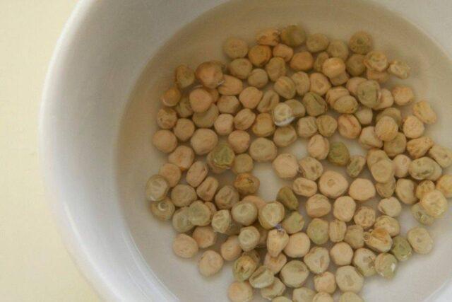 How much and how to soak peas before planting in open ground