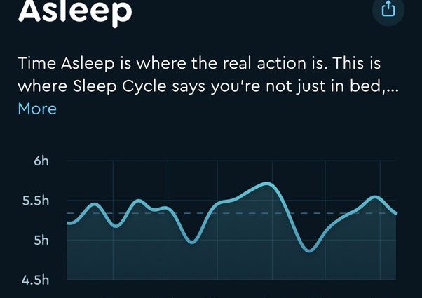 How much do you need to sleep to be effective and healthy? Elon Musk sleeps too little