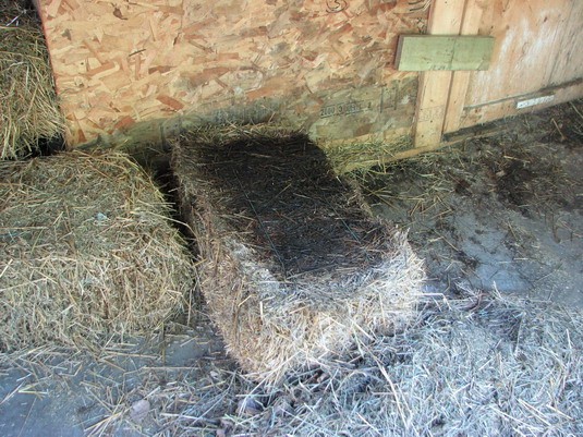 How much hay does a cow need: per day, per head, per year