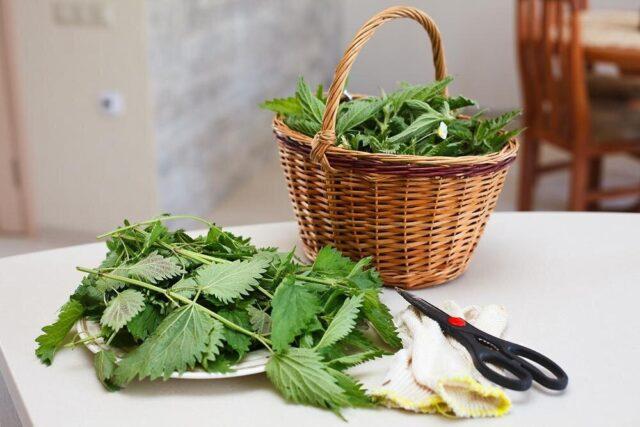 How much nettle is boiled for garnish, salad