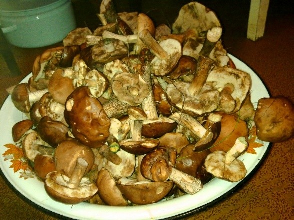 How much to cook boletus and how to clean before cooking