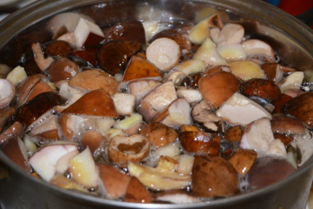 How much to cook boletus mushrooms: before frying, freezing and until cooked