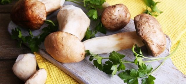 How much to cook boletus mushrooms: before frying, freezing and until cooked