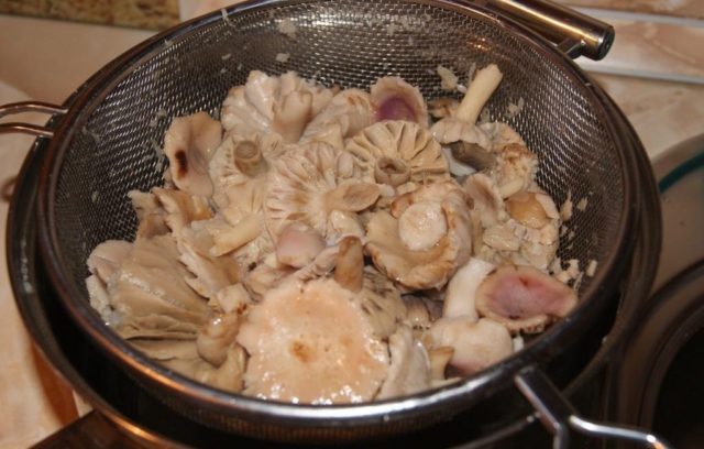 How much to cook russula: before frying, freezing and salting