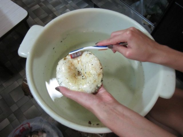 How much to soak milk mushrooms before salting in a cold and hot way