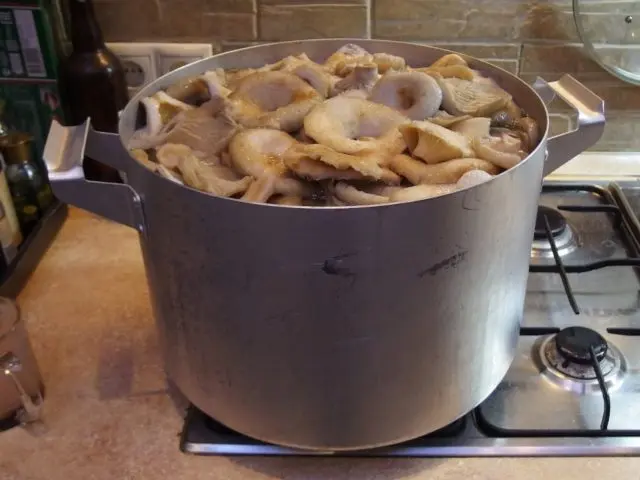 How much to soak milk mushrooms before salting in a cold and hot way