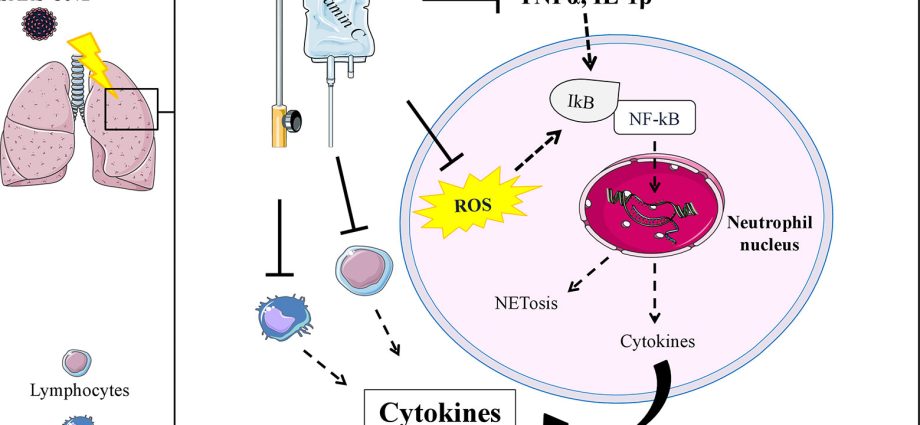 How much vitamin C should I take to improve immunity? Does it help protect against COVID-19? [WE EXPLAIN]