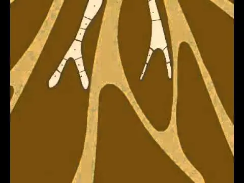 How mushrooms reproduce