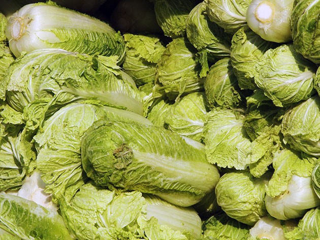 How often cabbage is watered and what water to get a crop