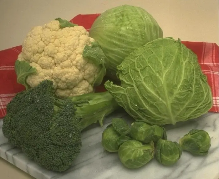 How often cabbage is watered and what water to get a crop