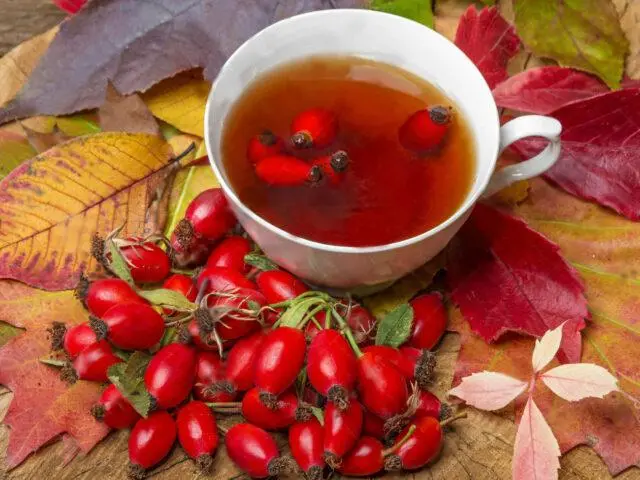 How rosehip affects blood pressure in humans: lowers or increases