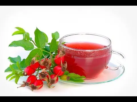 How rosehip affects the blood: thicken or thin decoctions, infusions