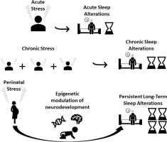 How stress and insomnia are exhausting us