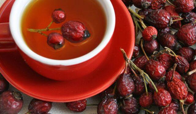 How to brew and drink dried rose hips in a thermos