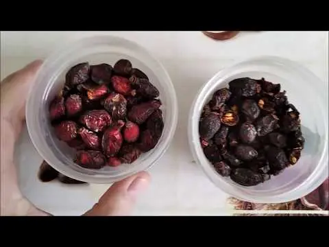 How to brew and drink rose hips for immunity