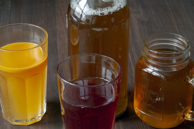 How to brew kombucha at home: technology and recipes for preparing a solution and a drink, proportions