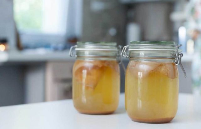 How to brew kombucha at home: technology and recipes for preparing a solution and a drink, proportions