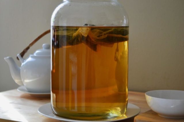 How to brew kombucha at home: technology and recipes for preparing a solution and a drink, proportions