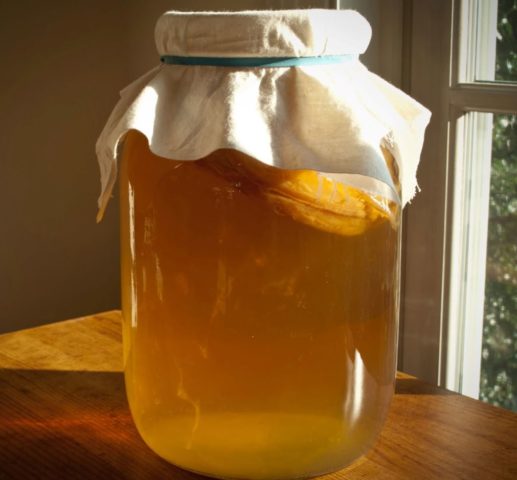 How to brew kombucha for 3 liters: recipes for preparing a solution, proportions