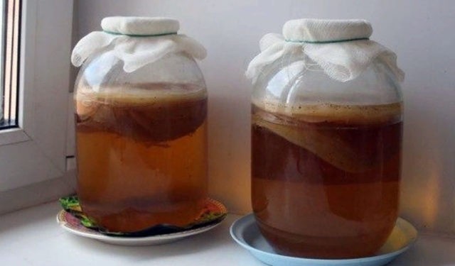 How to brew kombucha for 3 liters: recipes for preparing a solution, proportions