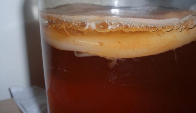 How to brew kombucha for 3 liters: recipes for preparing a solution, proportions