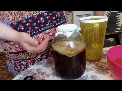 How to brew kombucha for 3 liters: recipes for preparing a solution, proportions