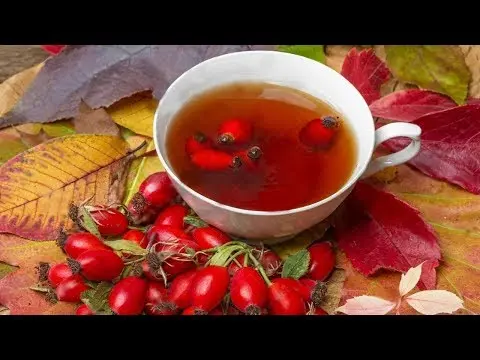 How to brew rose hips for coughing, with a cold