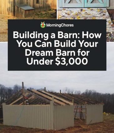 How to build a barn with your own hands + projects