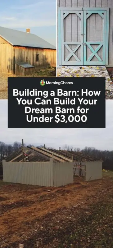 How to build a barn with your own hands + projects