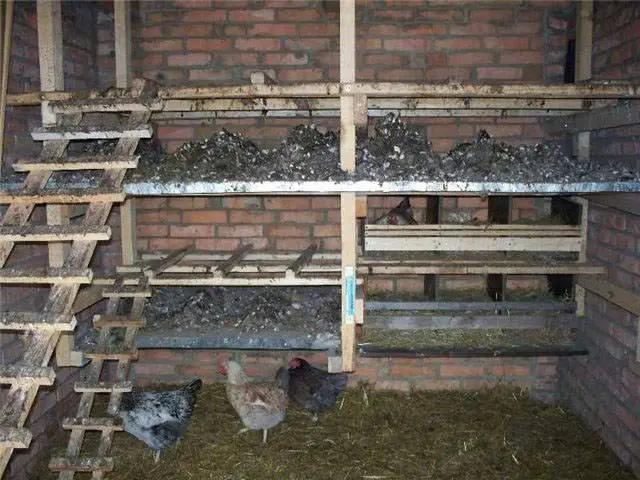 How to build a chicken coop