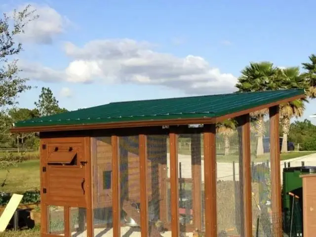 How to build a chicken coop