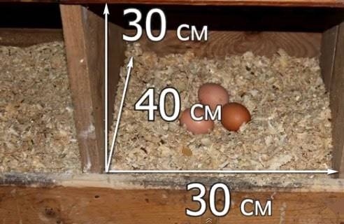 How to build a chicken coop