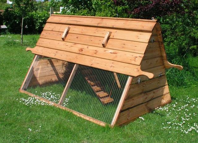 How to build a chicken coop from improvised materials