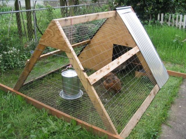 How to build a chicken coop from improvised materials