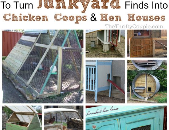 How to build a chicken coop from improvised materials