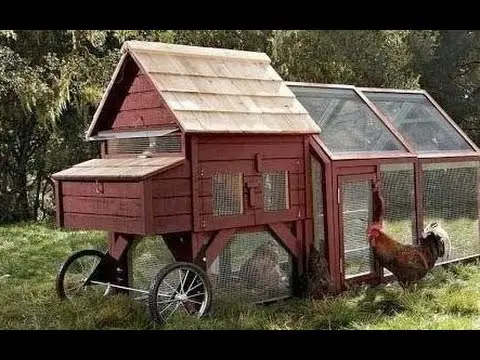 How to build a chicken coop in the country with your own hands 